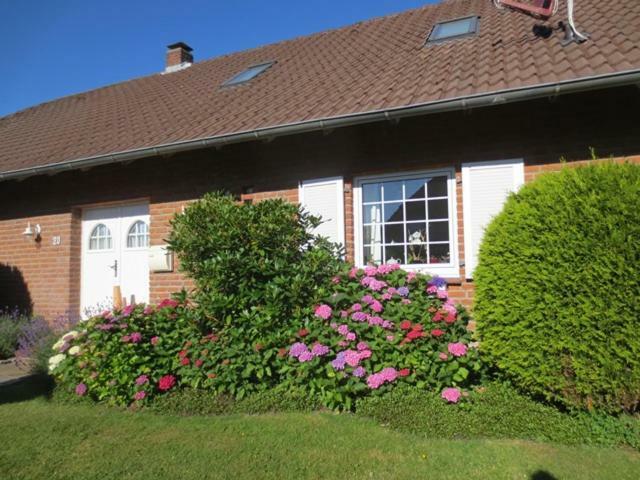 Luft Und Meer 4**** Ferienwohnung Hage 외부 사진
